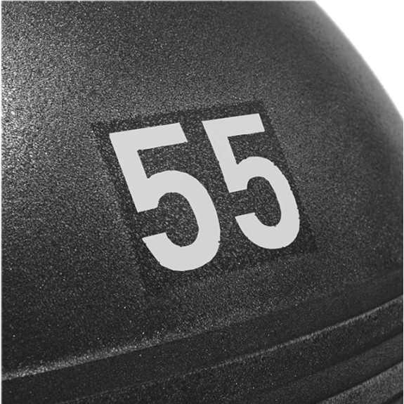 GYMBALL - 55CM